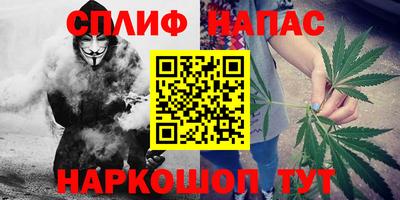 сатива Бугуруслан